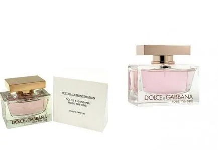 Ce este Dolce Gabbana Ce este Dolce Gabbana