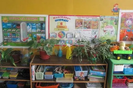 Natura Zona gradinita cu propriile lor mâini