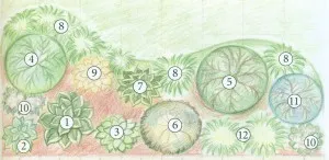 paturi de flori în umbră paturi de flori în umbră