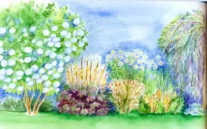 paturi de flori în umbră paturi de flori în umbră
