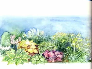 paturi de flori în umbră paturi de flori în umbră