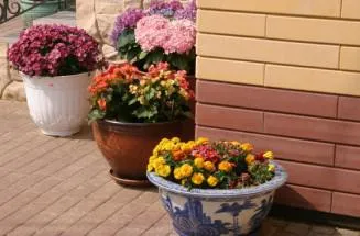 ghiveci de flori ghiveci de flori