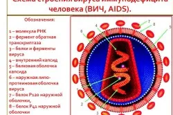 HIV tratament preventiv HIV tratament preventiv