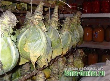 Varza mâinile proprii Varza mâinile proprii