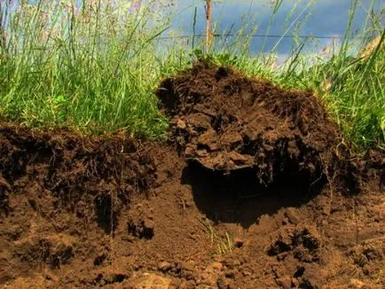 site-ul Alinierea cu propriile sale mâini site-ul Alinierea cu propriile sale mâini