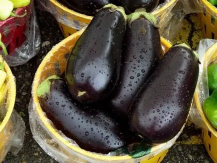 Cum de a planta vinete