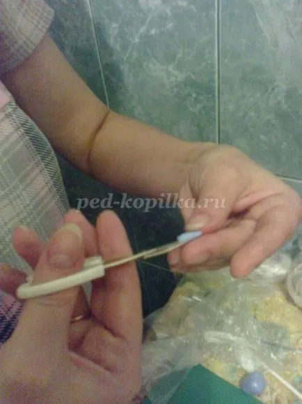 flori de porțelan rece master-class