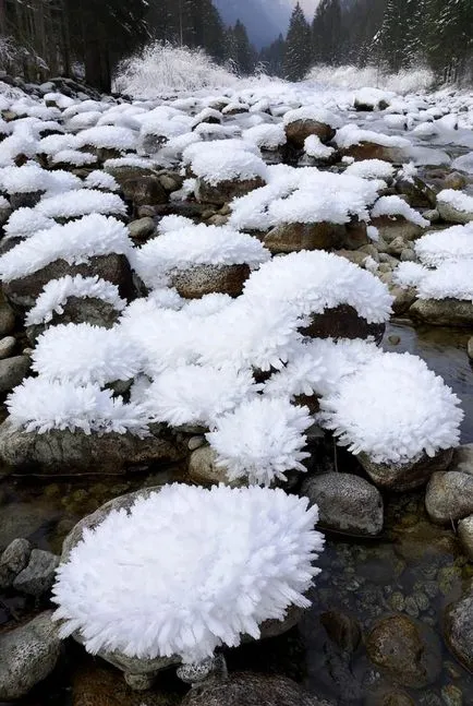 Ce este o frumusețe rece Ce este o frumusețe rece