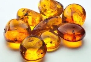 Acid succinic pentru care Acid succinic pentru care