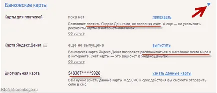 Cum sa faci bani Yandex