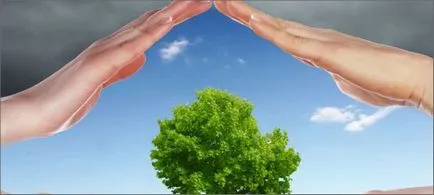 Cum natura poluării Cum natura poluării