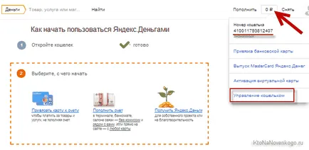 Cum sa faci bani Yandex