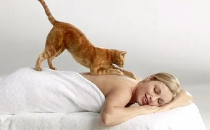 Cat însuși labe