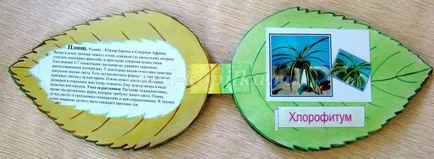Natura Zona gradinita cu propriile lor mâini Natura Zona gradinita cu propriile lor mâini