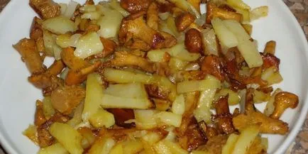 Cum de a găti chanterelle ciuperci