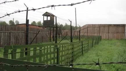 Cum sunt deținuți în s Cum sunt deținuți în s