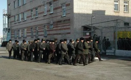 Cum sunt deținuți în s Cum sunt deținuți în s