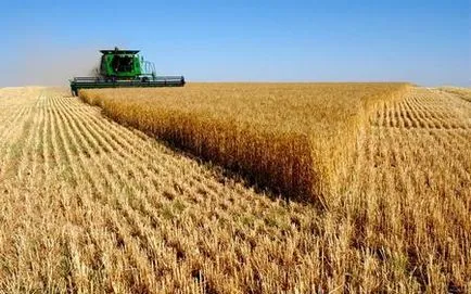 Teren agricol pentru construcția de case