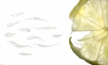 10 lucruri despre sperma