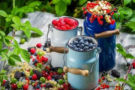 12 produse care nu dăunează îngheț