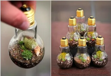 17 florariumov Fantastic, care va fi un decor unic pentru orice casa
