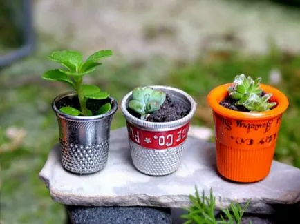 17 florariumov Fantastic, care va fi un decor unic pentru orice casa