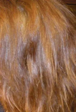 Opțiunea 4 pentru a elimina reddishnesses după clarificarea păr, produse cosmetice, sfaturi de moda - revista on-line de sex feminin