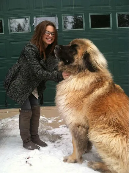 30 rase rare și exotice de câini