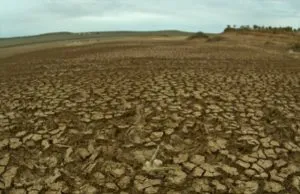 6 fapte oribile cum ne consumăm zilnic planeta noastră