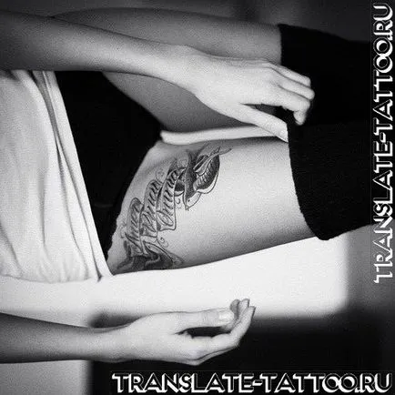 75 frumoase fotografii inscripții tatuaj (foto) 75 fotografii frumoase inscripții tatuaj
