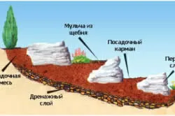 grădină alpină cu o cascadă și un iaz (foto)