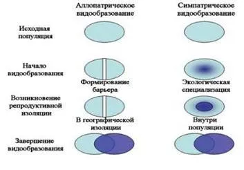 Allopatrichesky (geografic) speciație (lider caracteristici intraspecifice de divergență) Allopatrichesky (geografic) speciația