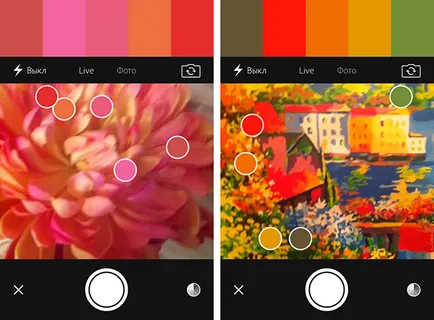 Adobe Color cc