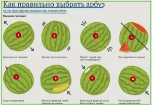 beneficii Pepenele verde și efectelor nocive pentru sanatate (beneficii rau pepene verde) beneficii Pepenele verde și efectelor dăunătoare asupra sănătății