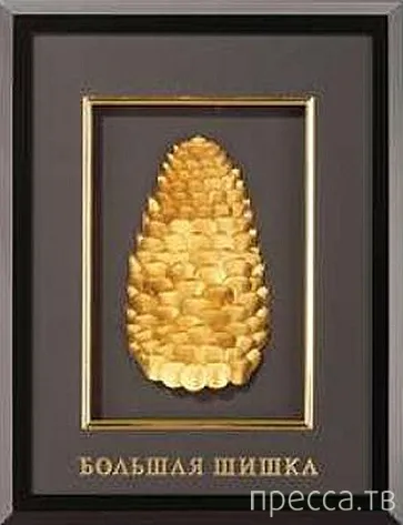 Anatomia sau fraze de genul „ajunge la butonul“ (21 poze)