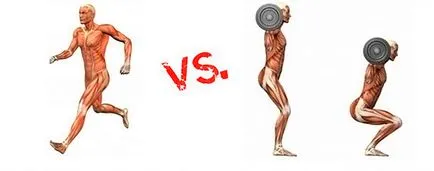 diferențe și în special (sarcină) - anaerobă și exercițiile aerobice anaerobă de efort și aerobic - diferențe și particularități