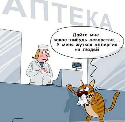 Glume despre alergii, alergii umor