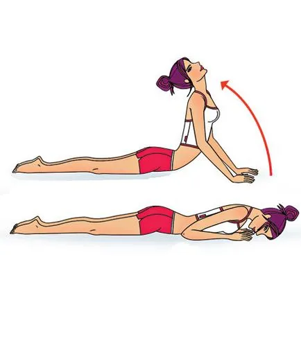 Asana Urdhva shvanasana Mukha (figura frumoasa) Asana urdhva Mukha shvanasana
