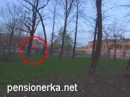 Crearea automată de fotografii panoramice cu ajutorul software-ului liber (crearea) Crearea automată de fotografii panoramice cu ajutorul software-ului gratuit