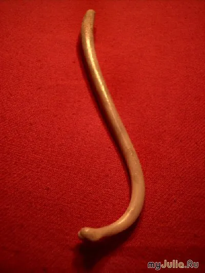 Baculum morsă și alte necesități în jurnalul gropi de uz casnic Group - lumea minunata a grupului - (morsă) Baculum morsă și alte necesități în jurnalul gropi de uz casnic Group - lumea minunata a grupului -