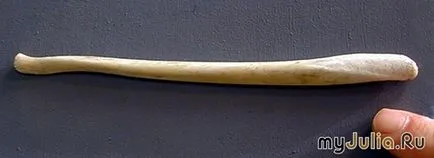 Baculum morsă și alte necesități în jurnalul gropi de uz casnic Group - lumea minunata a grupului - (baculum) Baculum morsă și alte necesități în jurnalul gropi de uz casnic Group - lumea minunata a grupului -