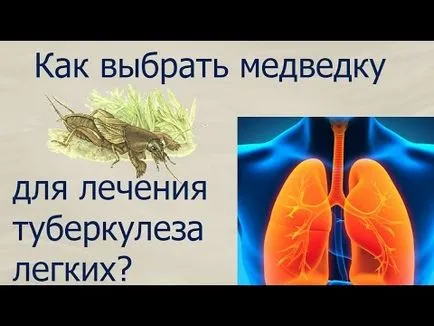 Asiatice utilizare cricket TBC ca un medicament si tratament principii (principii) utilizarea de cricket TB din Asia ca un medicament și ghidurile de tratament