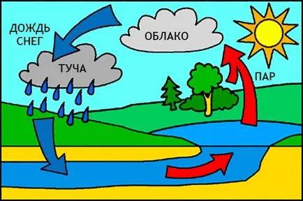 De ce nu-l ploaie copil enciclopedia on-line „Vreau să știu totul“