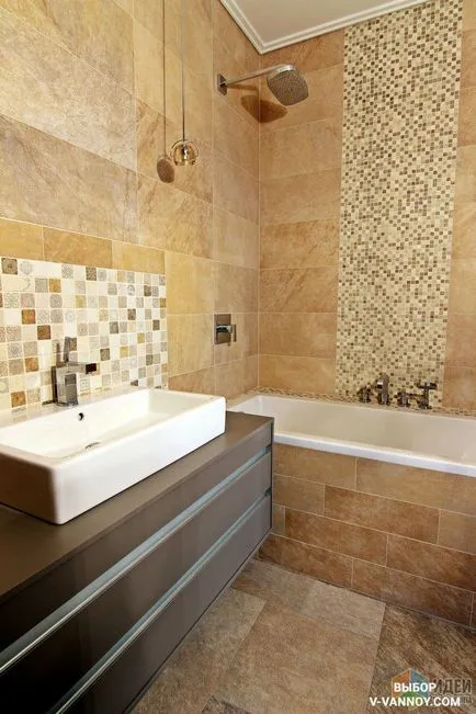 Dale pentru baie - 100 fotografie design interior realist (proiectare) Dale pentru baie - 100 fotografie design interior realist