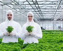 Nemurirea ca o cursă de investiții active în partea de jos (activ) Nemurirea ca o cursă de active de investiții pentru supraviețuire