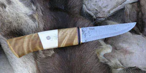 mesteacăn suvel