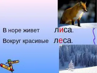 vocalele neaccentuate în rădăcini