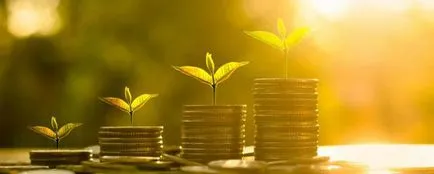 Debitul direct - este de debit, fără ordinea titularului contului (anulare) Debitul direct - este de debit, fără ordinul titularului de cont