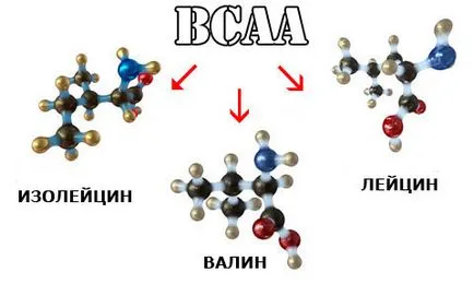 BCAA - cum să ia, dozajul corect și timpul