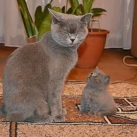 Bliiin ... filmul „Inception“ este încheiat, la începutul filmului decât filmul sa încheiat sa încheiat decât la început (încheiat) Bliiin ... filmul „Inception“ este încheiat, la începutul filmului decât filmul sa încheiat sa încheiat decât la început